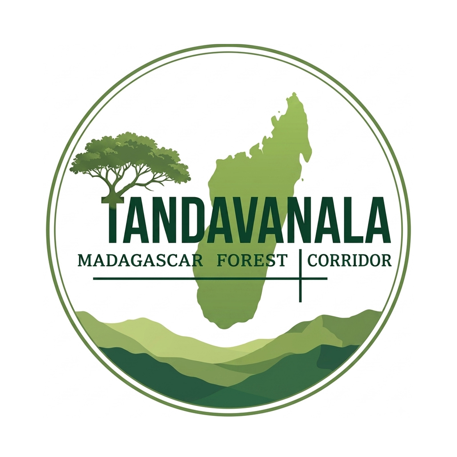 ONG TANDAVANALA